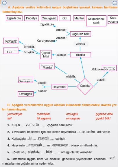 S N F Ada Yay Nc L K Fen Bilimleri Ders Kitab Nite L Me Ve