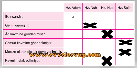 S N F Mevsim Yay Nc L K Kuran Kerim Ders Kitab Sayfa Cevab