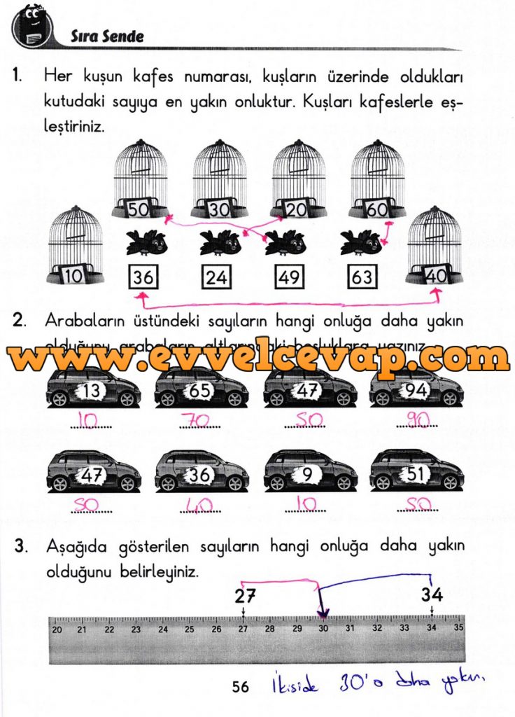 2 Sınıf Başak Yayınları Matematik Ders Kitabı Sayfa 56 Cevabı Evvel