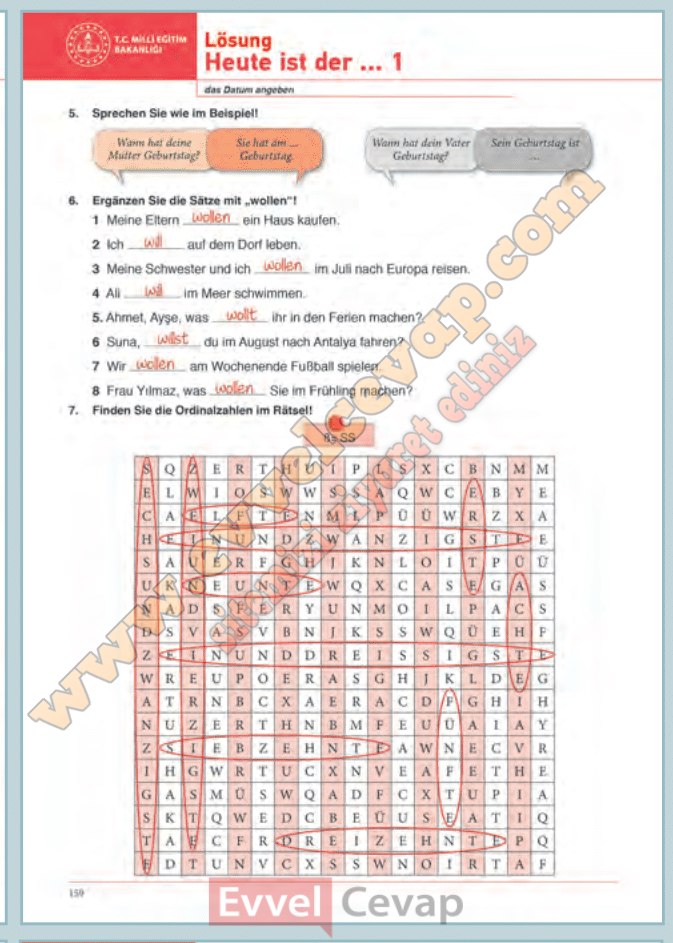 S N F Almanca Beceri Temelli Etkinlik Kitab Cevaplar Sayfa