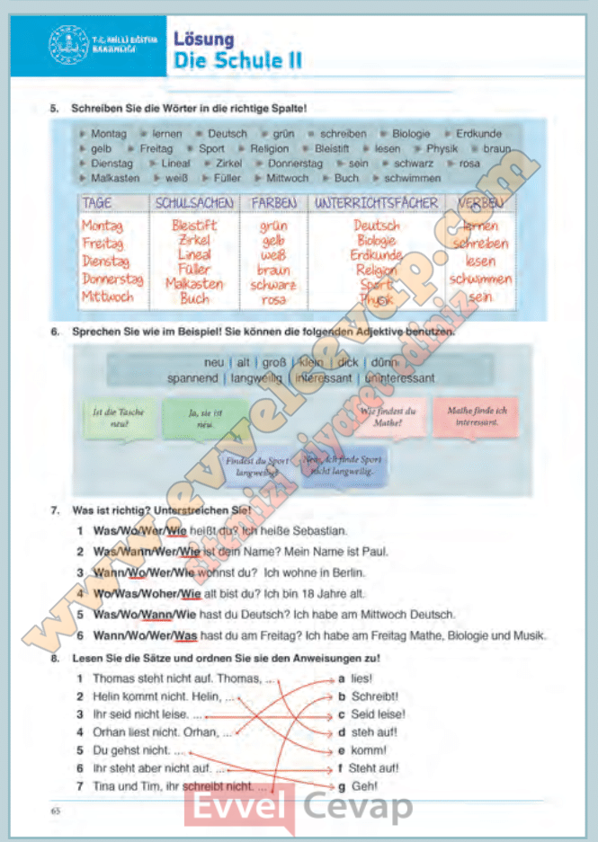 9 Sınıf Almanca Beceri Temelli Etkinlik Kitabı Cevapları Sayfa 65