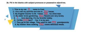 Fill In The Blanks With Subject Pronouns Or Possessive Adjectives