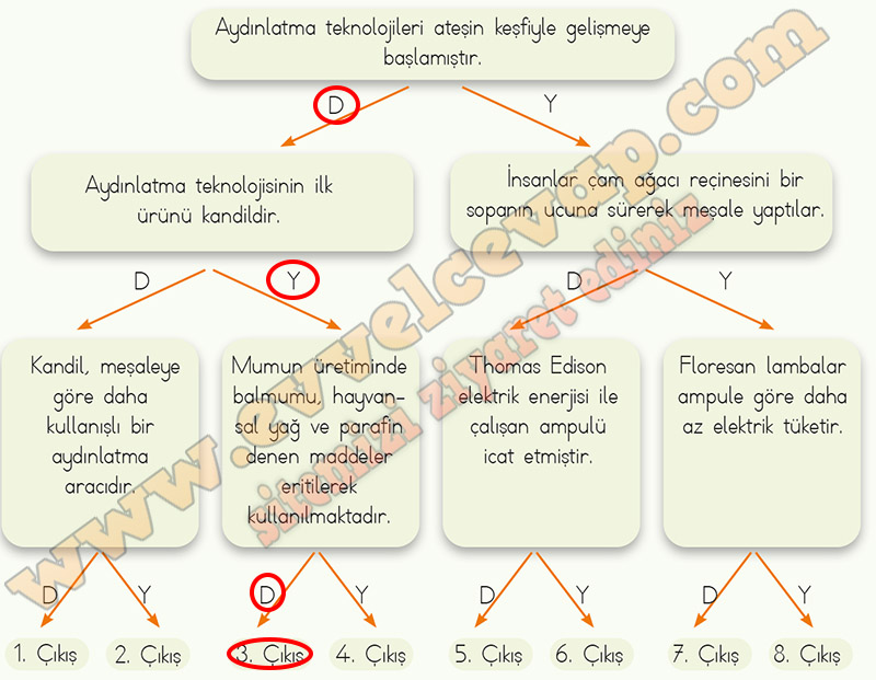 4 Sınıf Fen Bilimleri Ders Kitabı Cevapları Meb Yayınları Sayfa 146