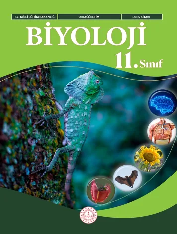 11. Sınıf Biyoloji ders kitabı kapağı