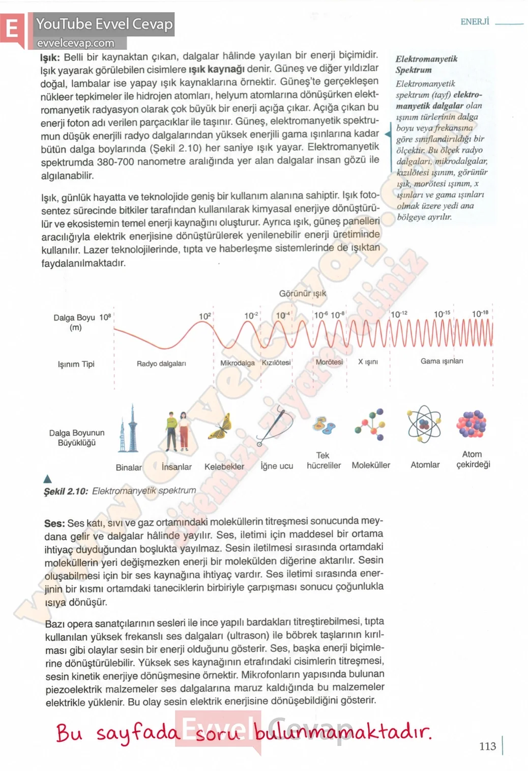 10-sinif-fizik-ders-kitabi-cevaplari-meb-yayinlari-2026-2027-sayfa-113