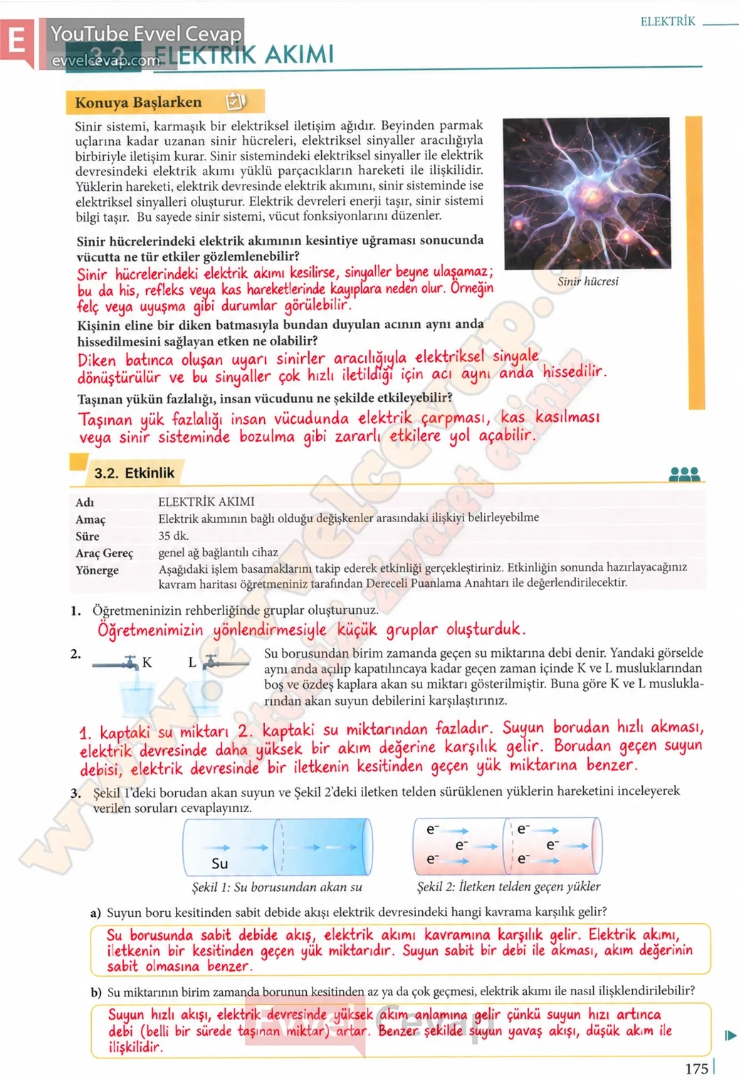 10-sinif-fizik-ders-kitabi-cevaplari-meb-yayinlari-2026-2027-sayfa-175
