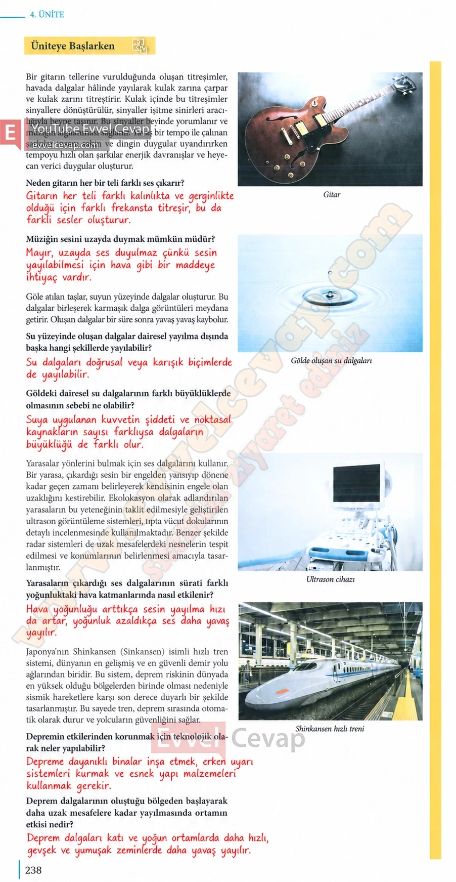 10-sinif-fizik-ders-kitabi-cevaplari-meb-yayinlari-2026-2027-sayfa-238