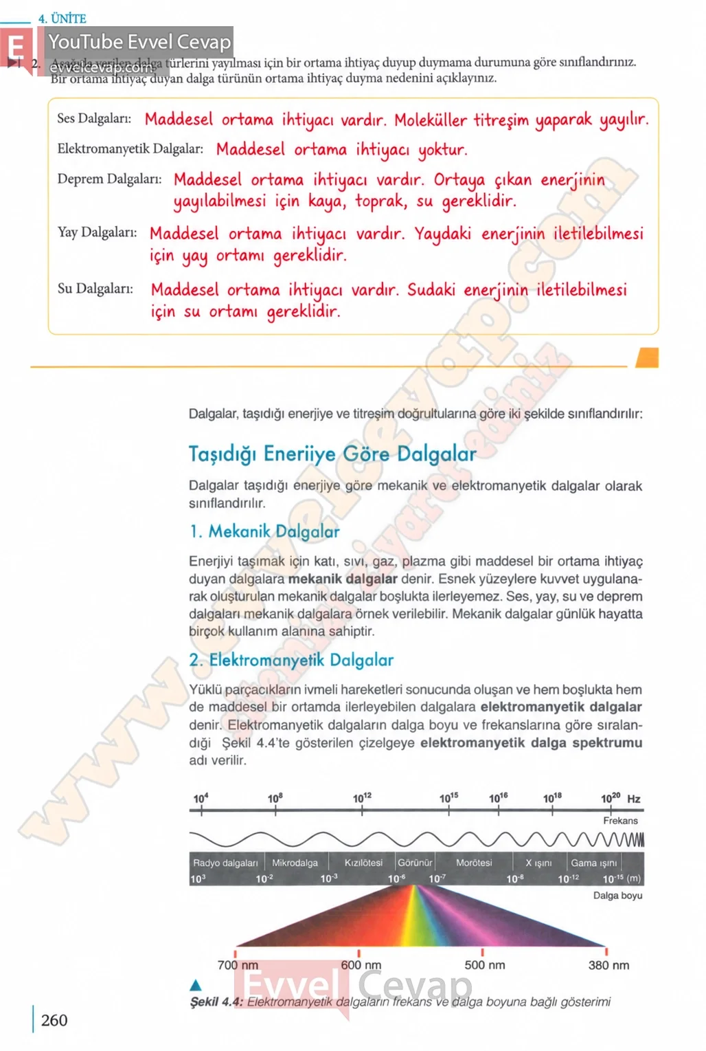 10-sinif-fizik-ders-kitabi-cevaplari-meb-yayinlari-2026-2027-sayfa-260