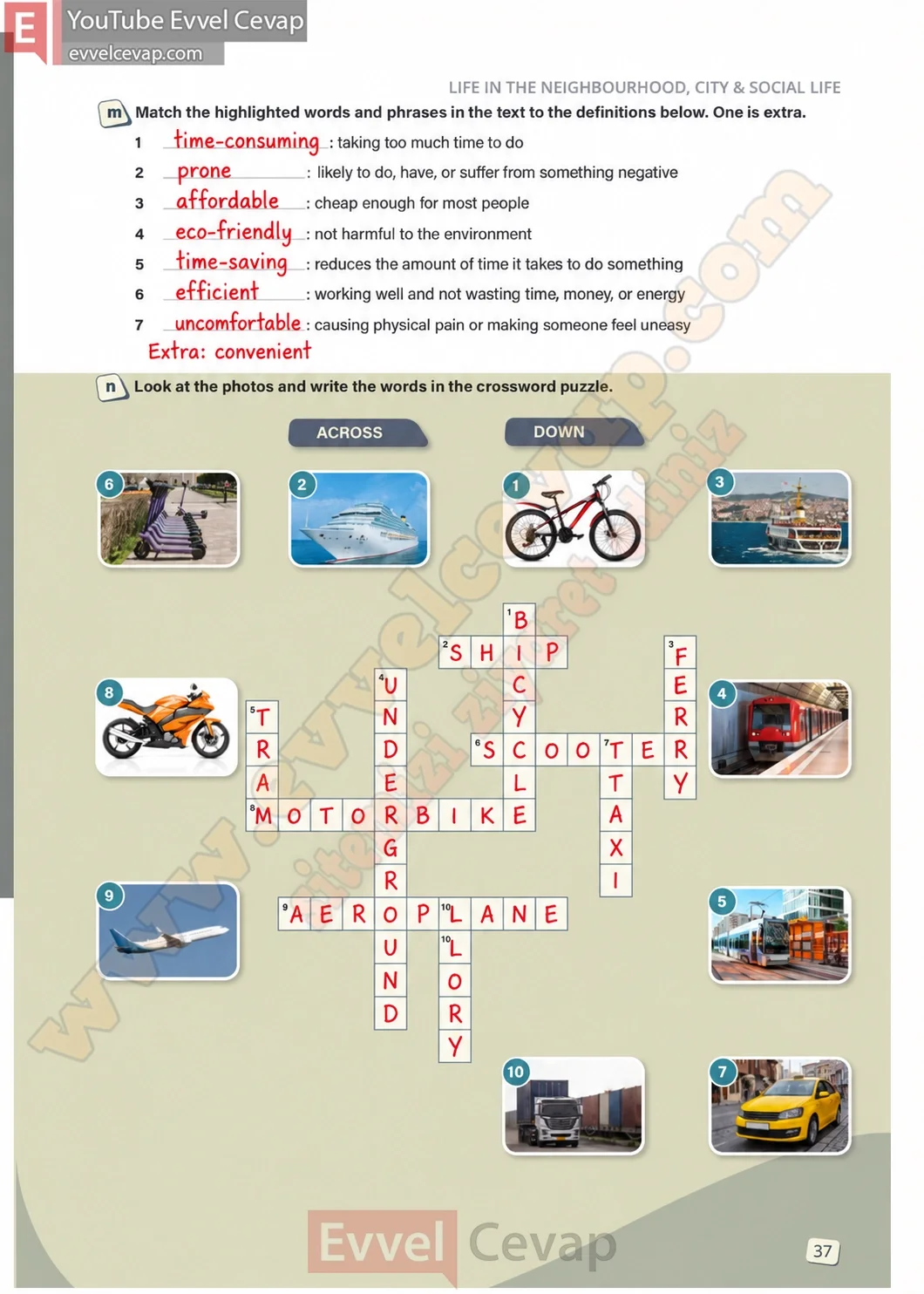 10-sinif-ingilizce-stepwise-b1-2-calisma-kitabi-cevabi-sayfa-37