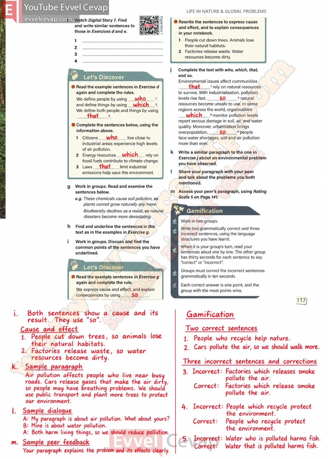 10-sinif-ingilizce-stepwise-b1-2-ders-kitabi-cevabi-sayfa-117