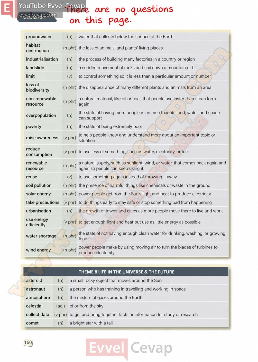 10-sinif-ingilizce-stepwise-b1-2-ders-kitabi-cevabi-sayfa-160