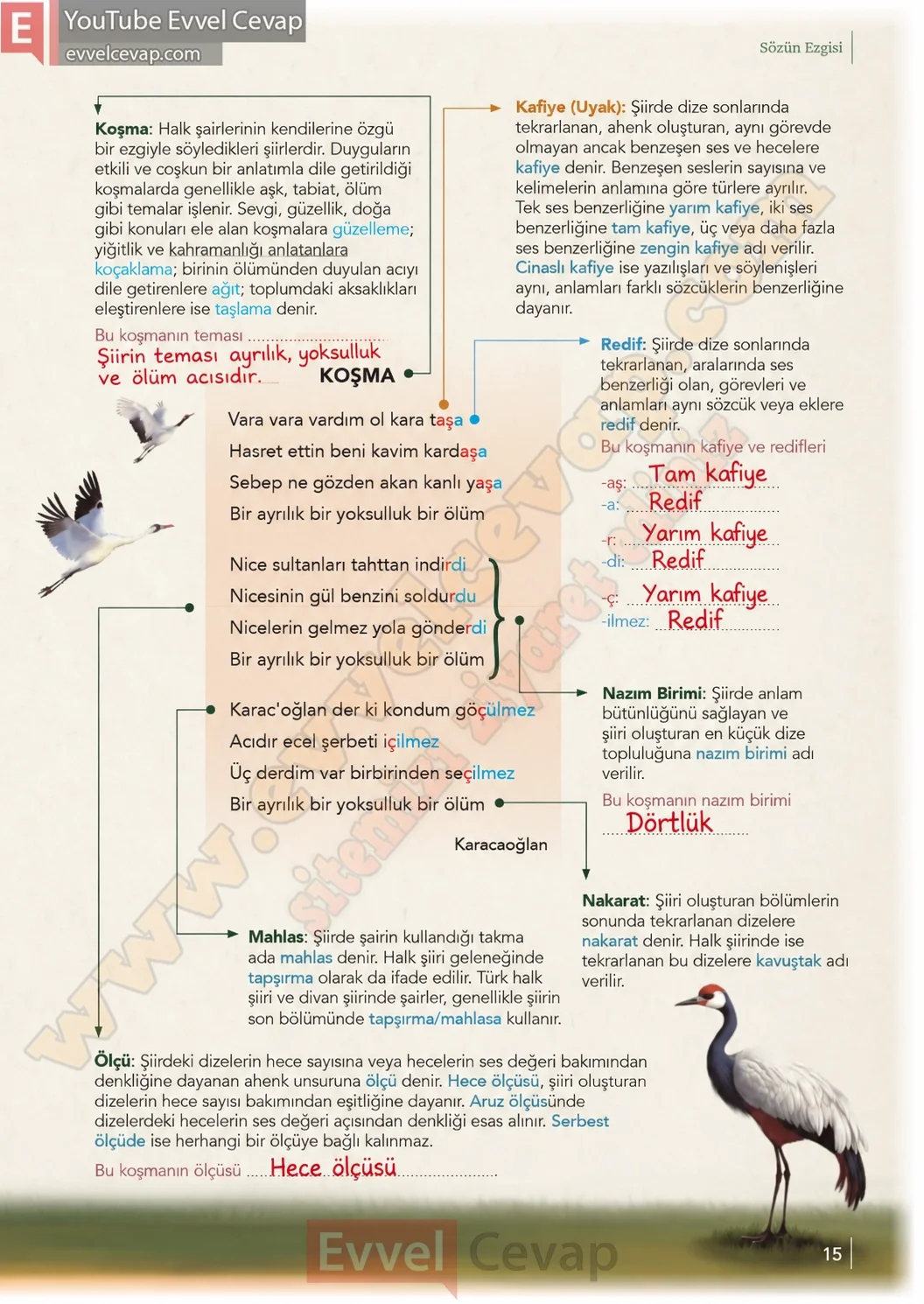 10-sinif-turk-dili-ve-edebiyati-ders-kitabi-meb-yayinlari-cevabi-sayfa-15-2026