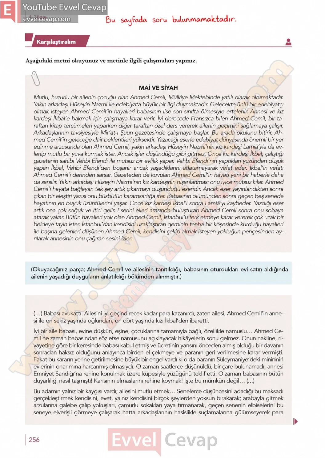 10-sinif-turk-dili-ve-edebiyati-ders-kitabi-meb-yayinlari-cevabi-sayfa-256-2026