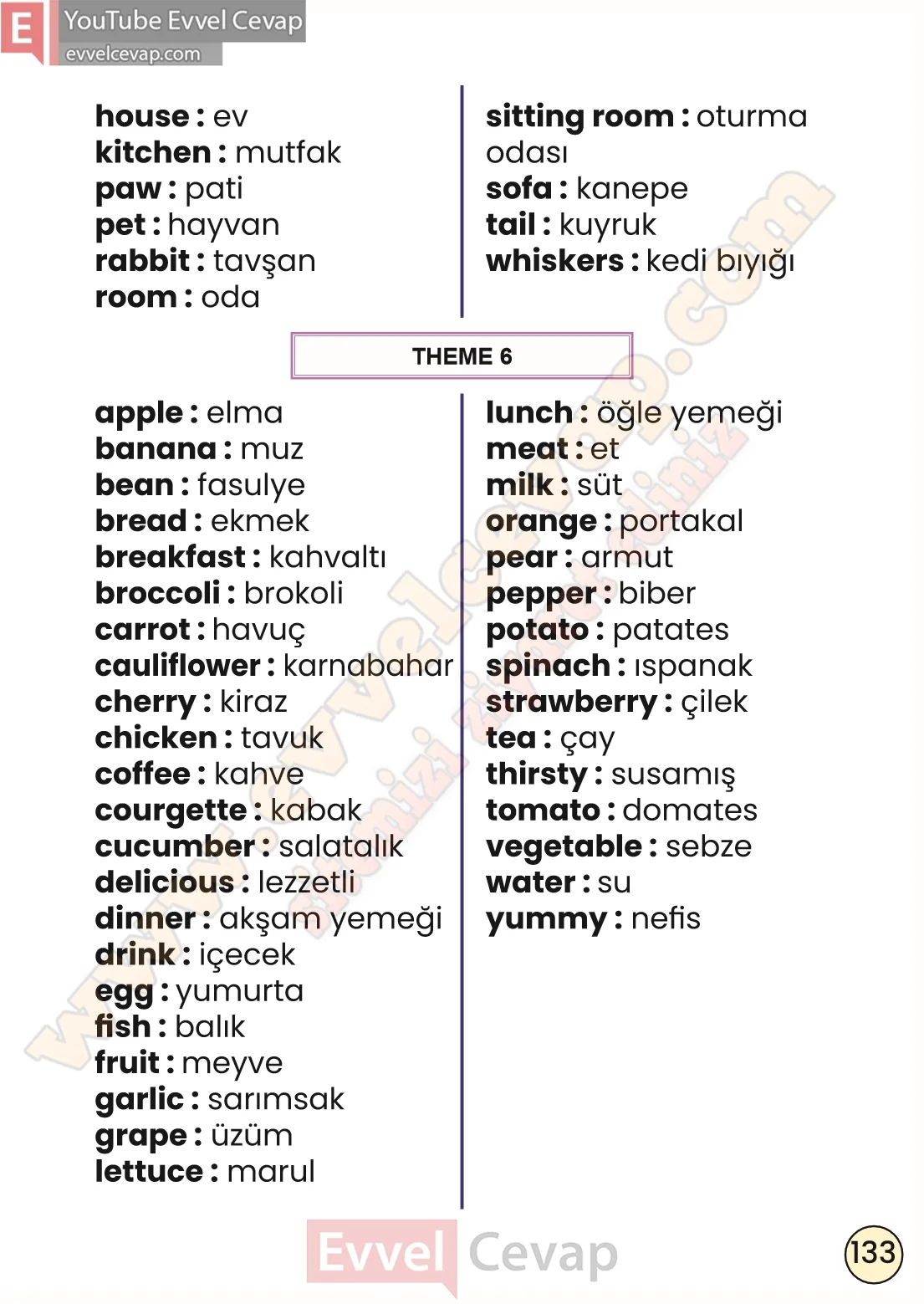 2-sinif-ingilizce-ders-kitabi-cevabi-sayfa-133