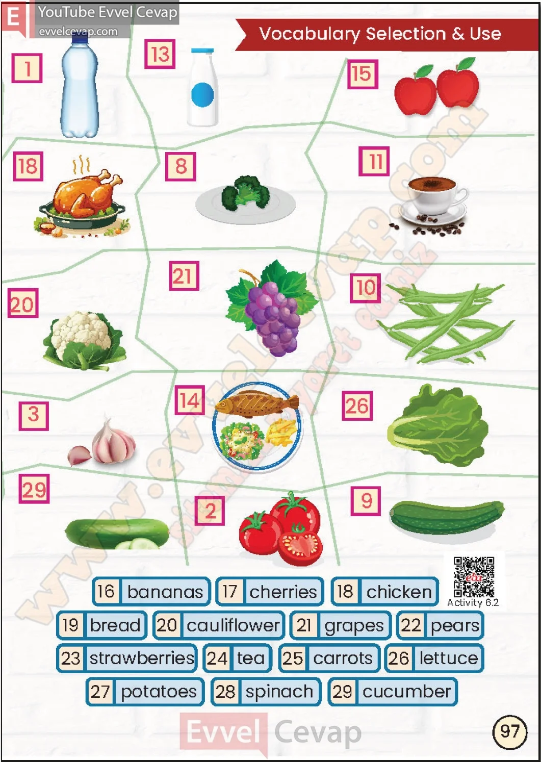 2-sinif-ingilizce-ders-kitabi-cevabi-sayfa-97
