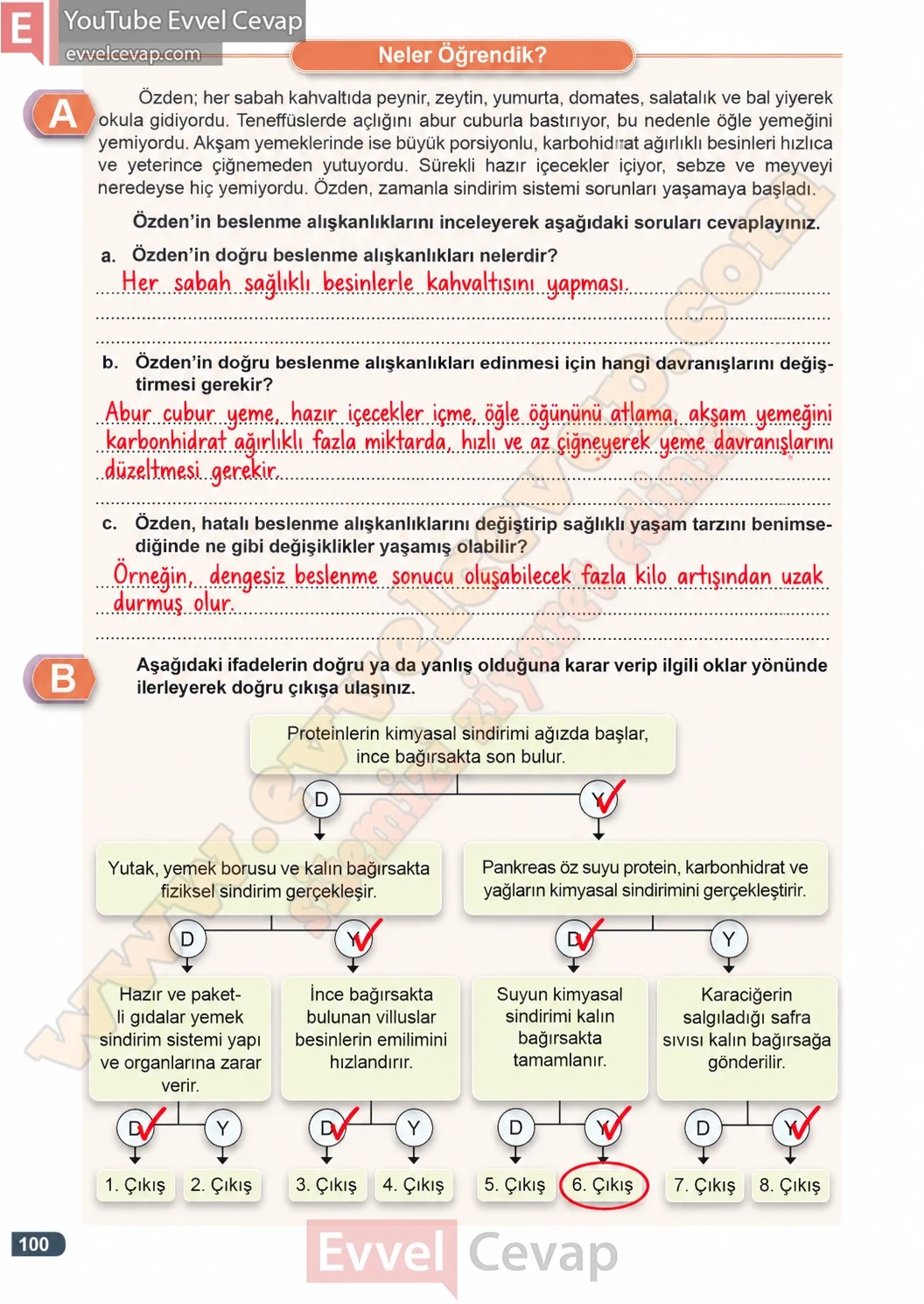 3-sinif-fen-bilimleri-ders-kitabi-cevaplari-meb-yayinlari-1-kitap-sayfa-100-2026