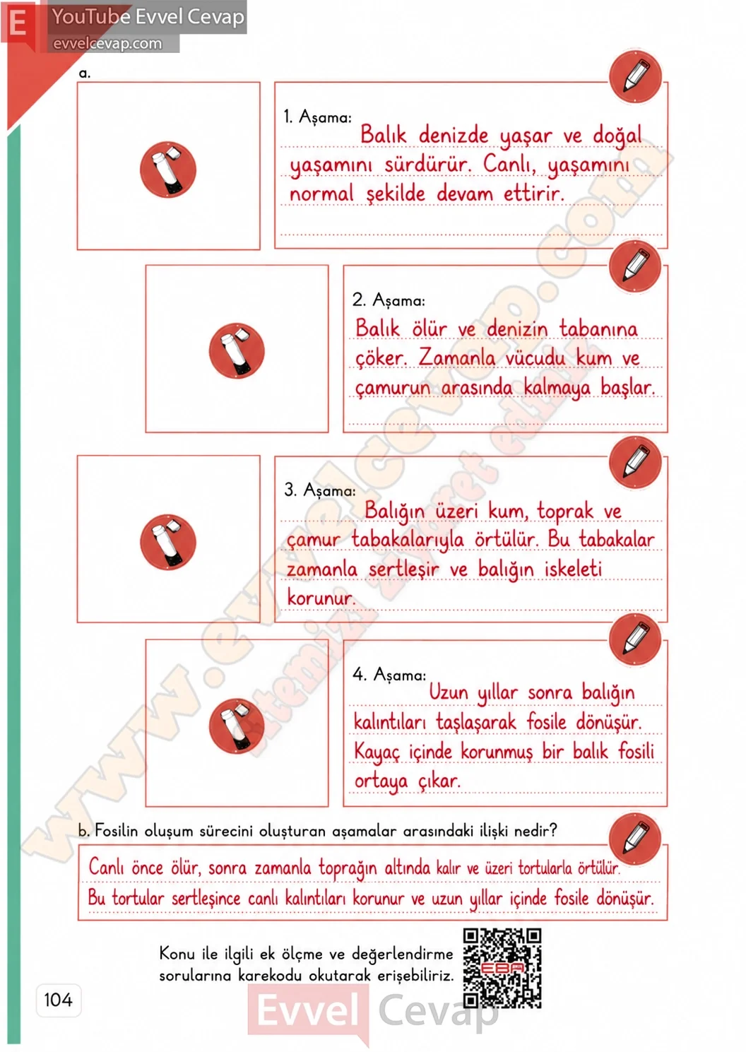 3-sinif-fen-bilimleri-ders-kitabi-cevaplari-meb-yayinlari-1-kitap-sayfa-104-2026