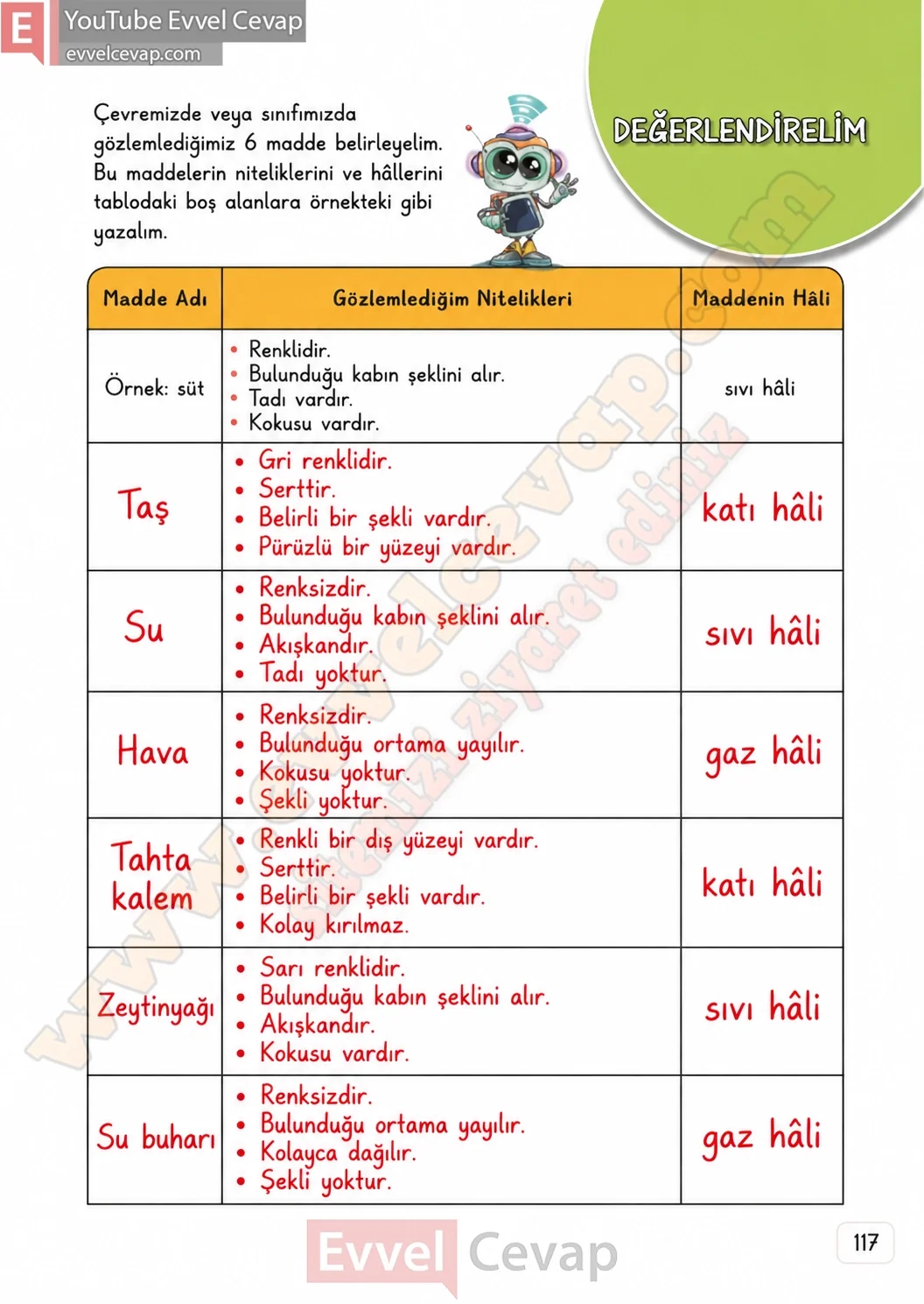 3-sinif-fen-bilimleri-ders-kitabi-cevaplari-meb-yayinlari-1-kitap-sayfa-117-2026