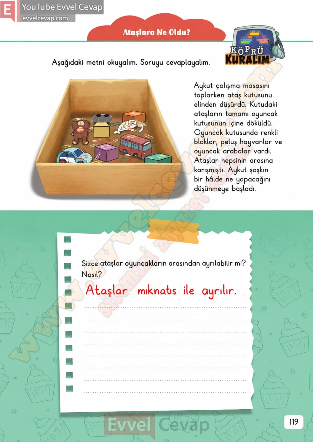3-sinif-fen-bilimleri-ders-kitabi-cevaplari-meb-yayinlari-1-kitap-sayfa-119-2026