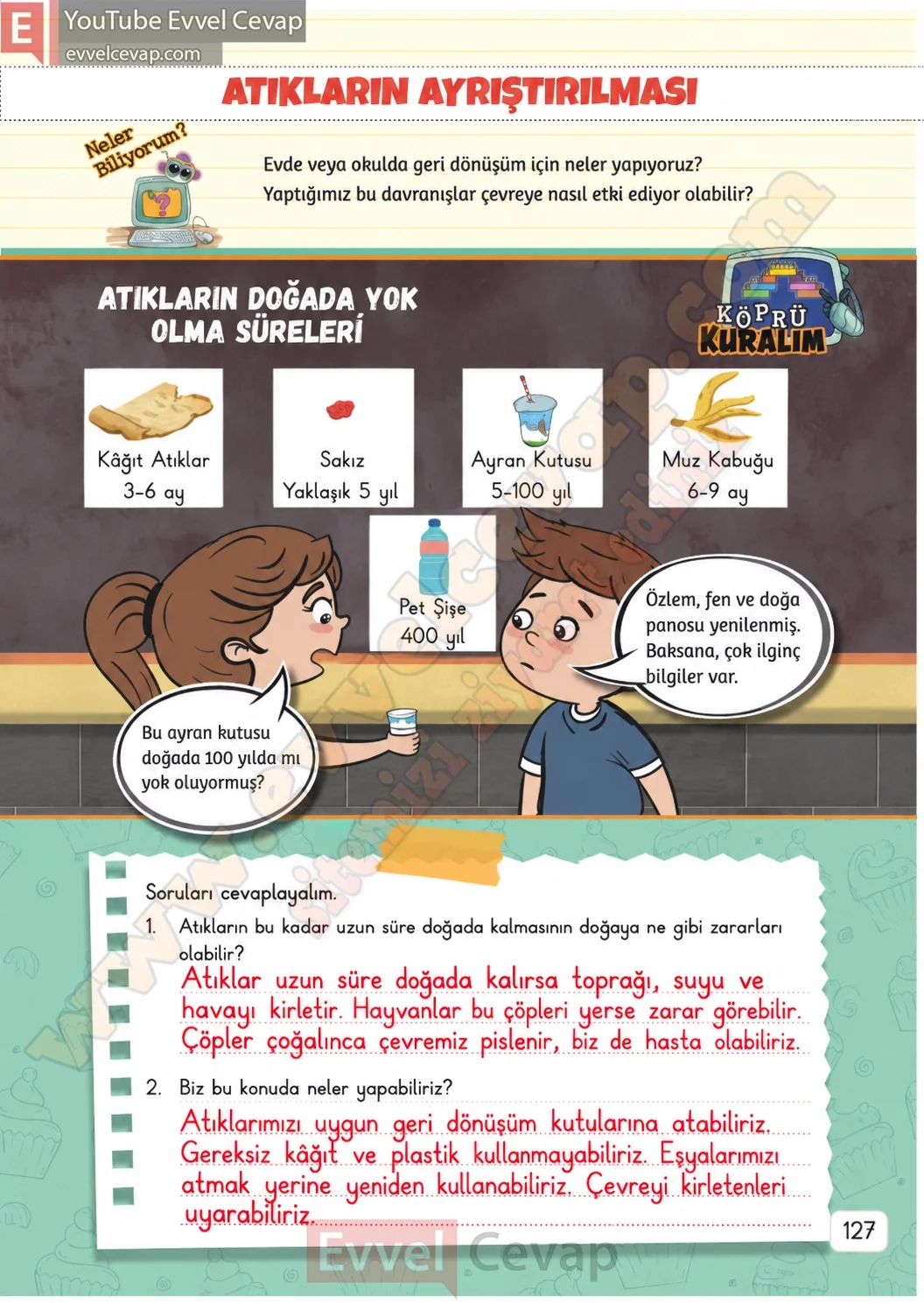 3-sinif-fen-bilimleri-ders-kitabi-cevaplari-meb-yayinlari-1-kitap-sayfa-127-2026