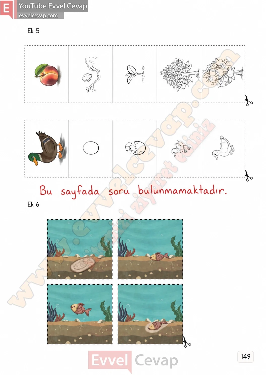 3-sinif-fen-bilimleri-ders-kitabi-cevaplari-meb-yayinlari-1-kitap-sayfa-149-2026