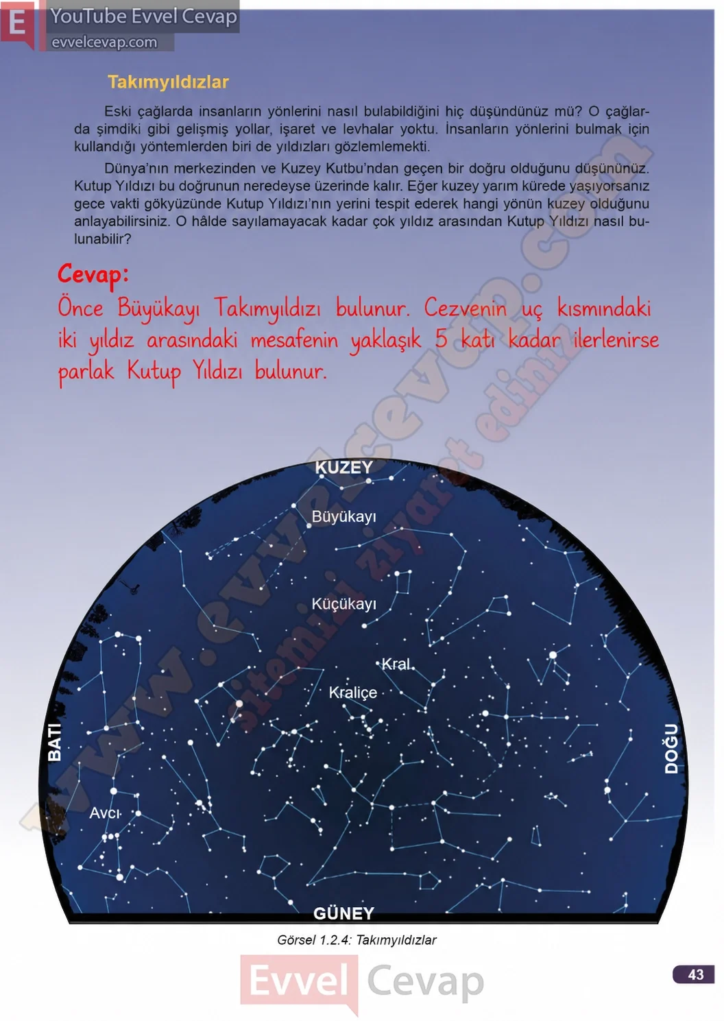 3-sinif-fen-bilimleri-ders-kitabi-cevaplari-meb-yayinlari-1-kitap-sayfa-43-2026