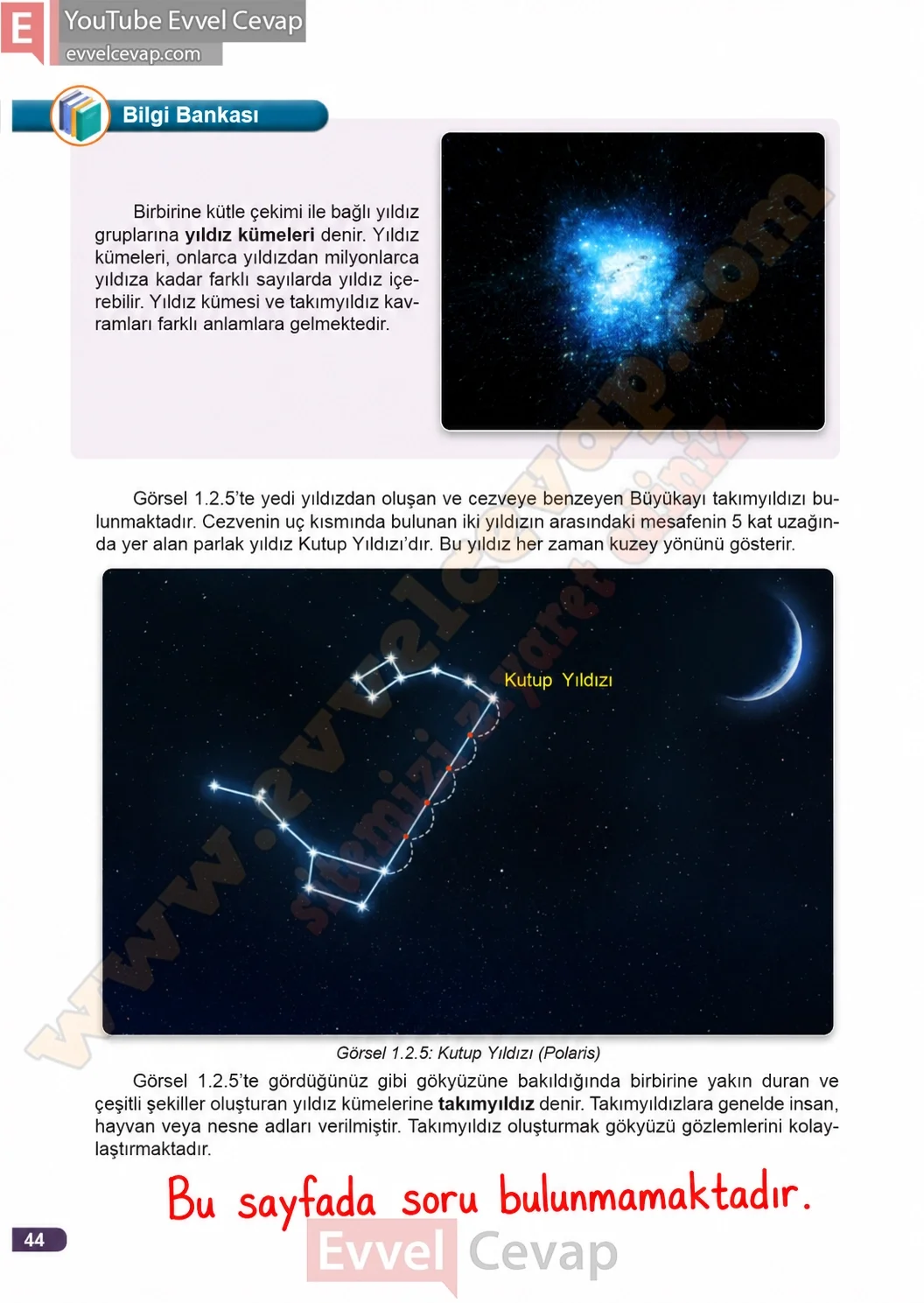 3-sinif-fen-bilimleri-ders-kitabi-cevaplari-meb-yayinlari-1-kitap-sayfa-44-2026