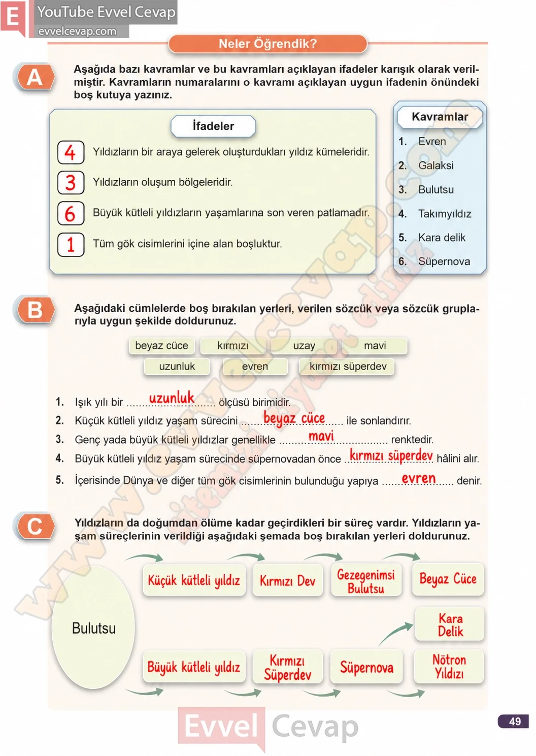 3-sinif-fen-bilimleri-ders-kitabi-cevaplari-meb-yayinlari-1-kitap-sayfa-49-2026