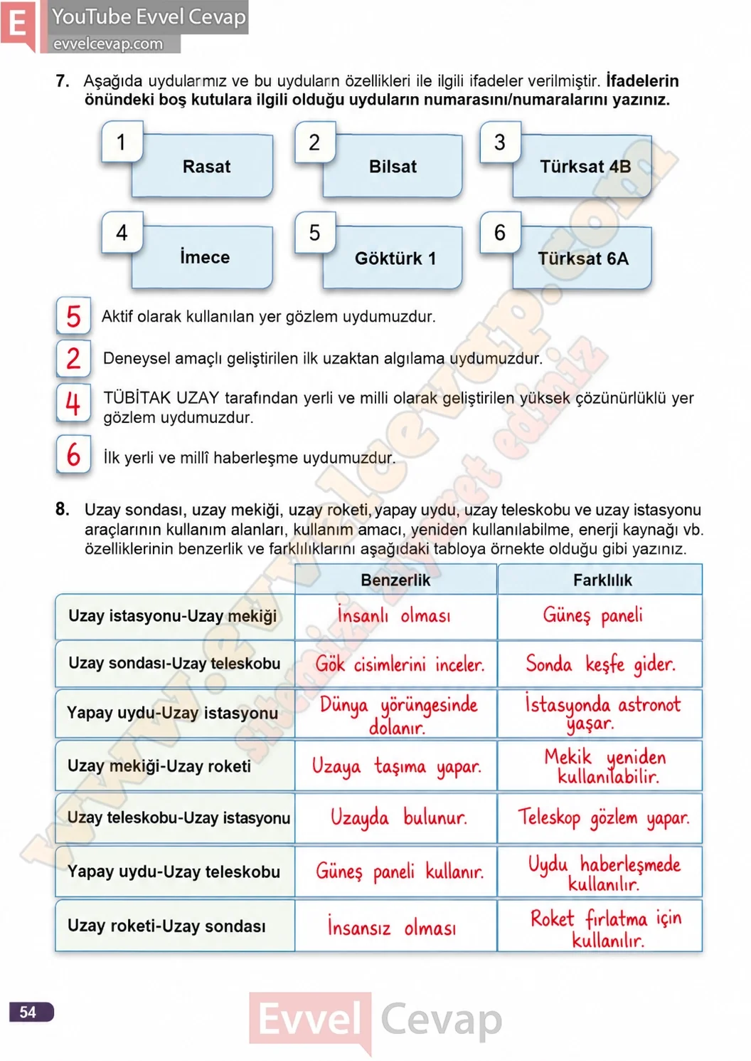3-sinif-fen-bilimleri-ders-kitabi-cevaplari-meb-yayinlari-1-kitap-sayfa-54-2026