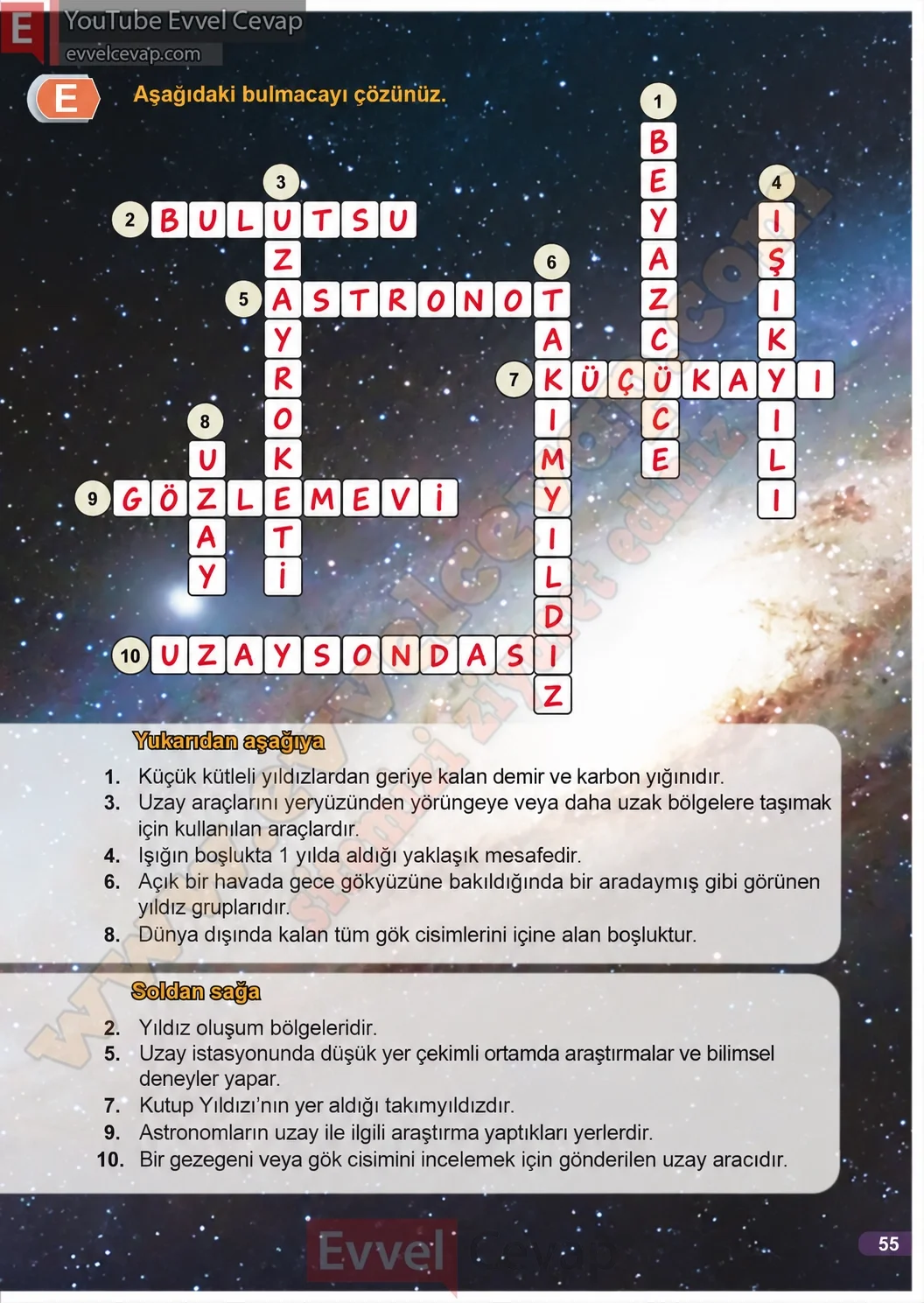 3-sinif-fen-bilimleri-ders-kitabi-cevaplari-meb-yayinlari-1-kitap-sayfa-55-2026