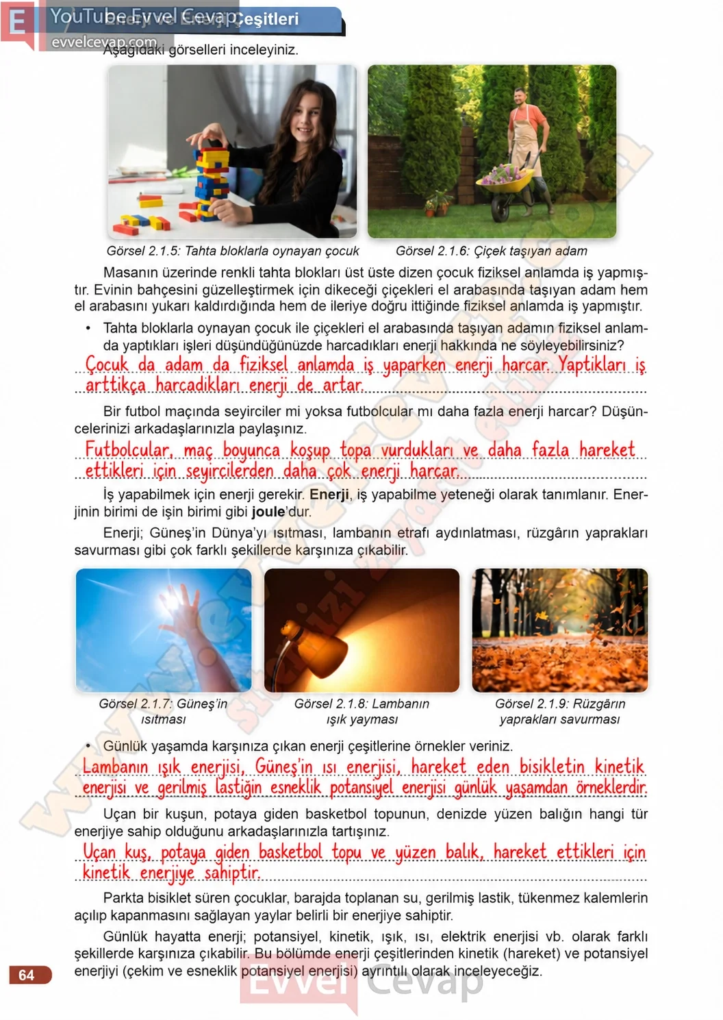 3-sinif-fen-bilimleri-ders-kitabi-cevaplari-meb-yayinlari-1-kitap-sayfa-64-2026