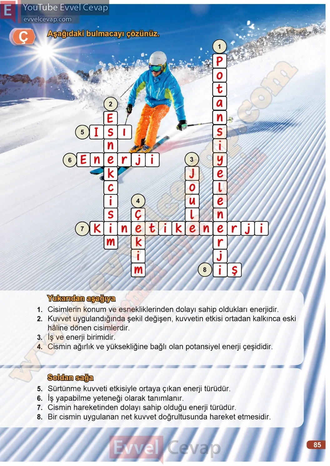3-sinif-fen-bilimleri-ders-kitabi-cevaplari-meb-yayinlari-1-kitap-sayfa-85-2026