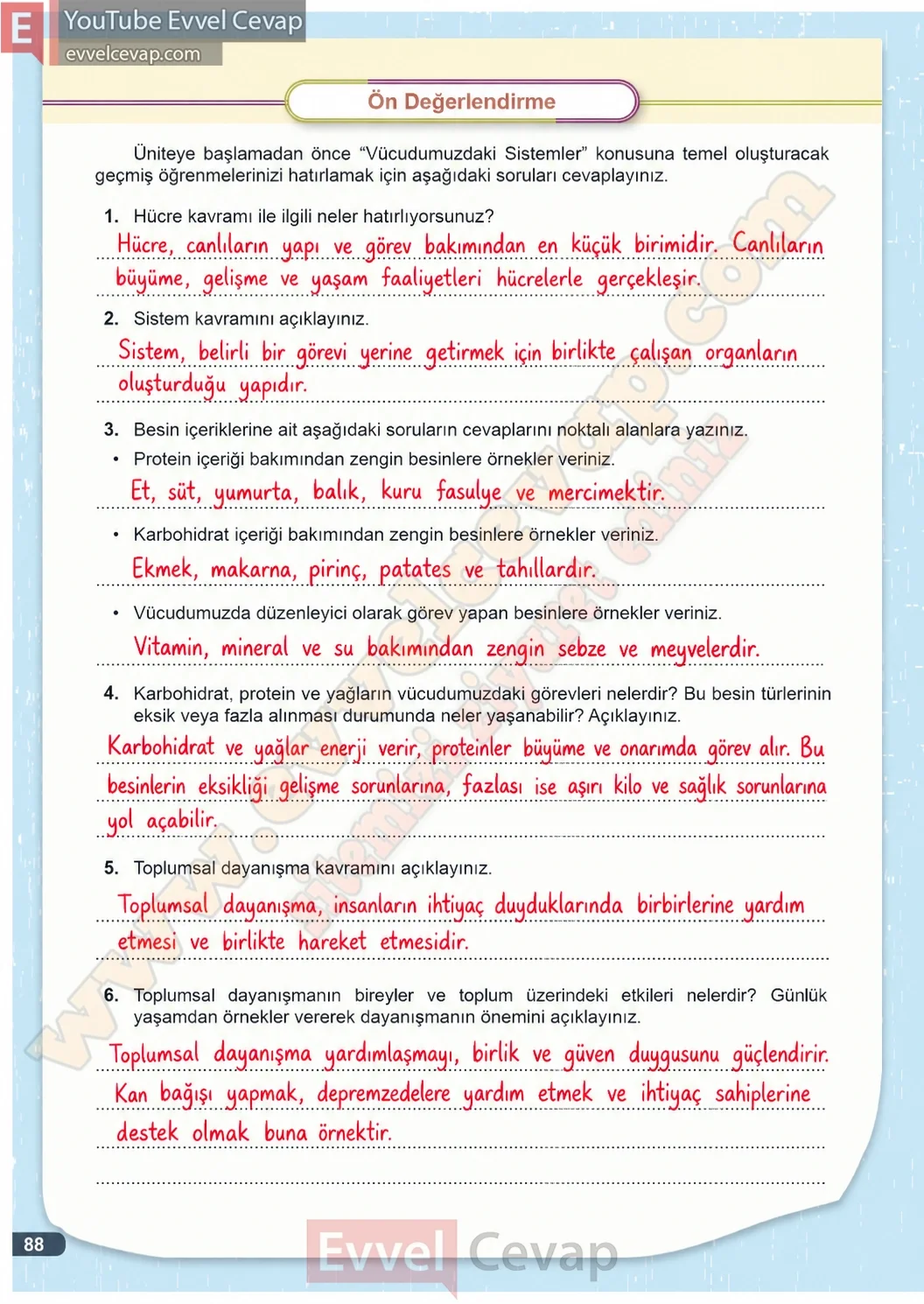 3-sinif-fen-bilimleri-ders-kitabi-cevaplari-meb-yayinlari-1-kitap-sayfa-88-2026