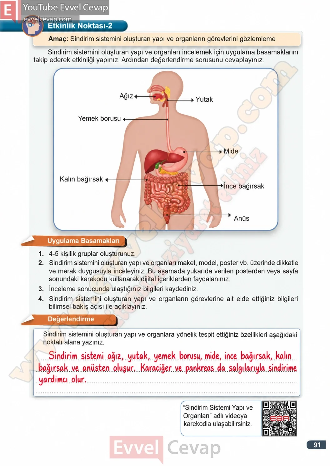 3-sinif-fen-bilimleri-ders-kitabi-cevaplari-meb-yayinlari-1-kitap-sayfa-91-2026