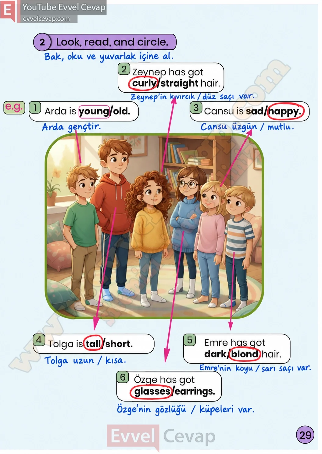 3-sinif-ingilizce-calisma-kitabi-cevabi-meb-yayinlari-sayfa-29