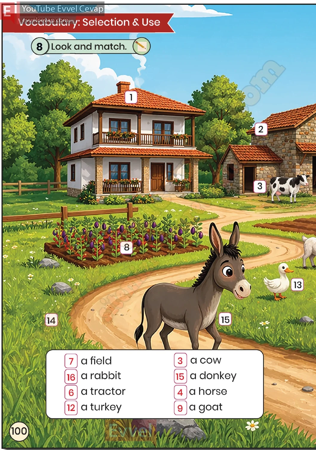 3-sinif-ingilizce-ders-kitabi-cevabi-sayfa-100