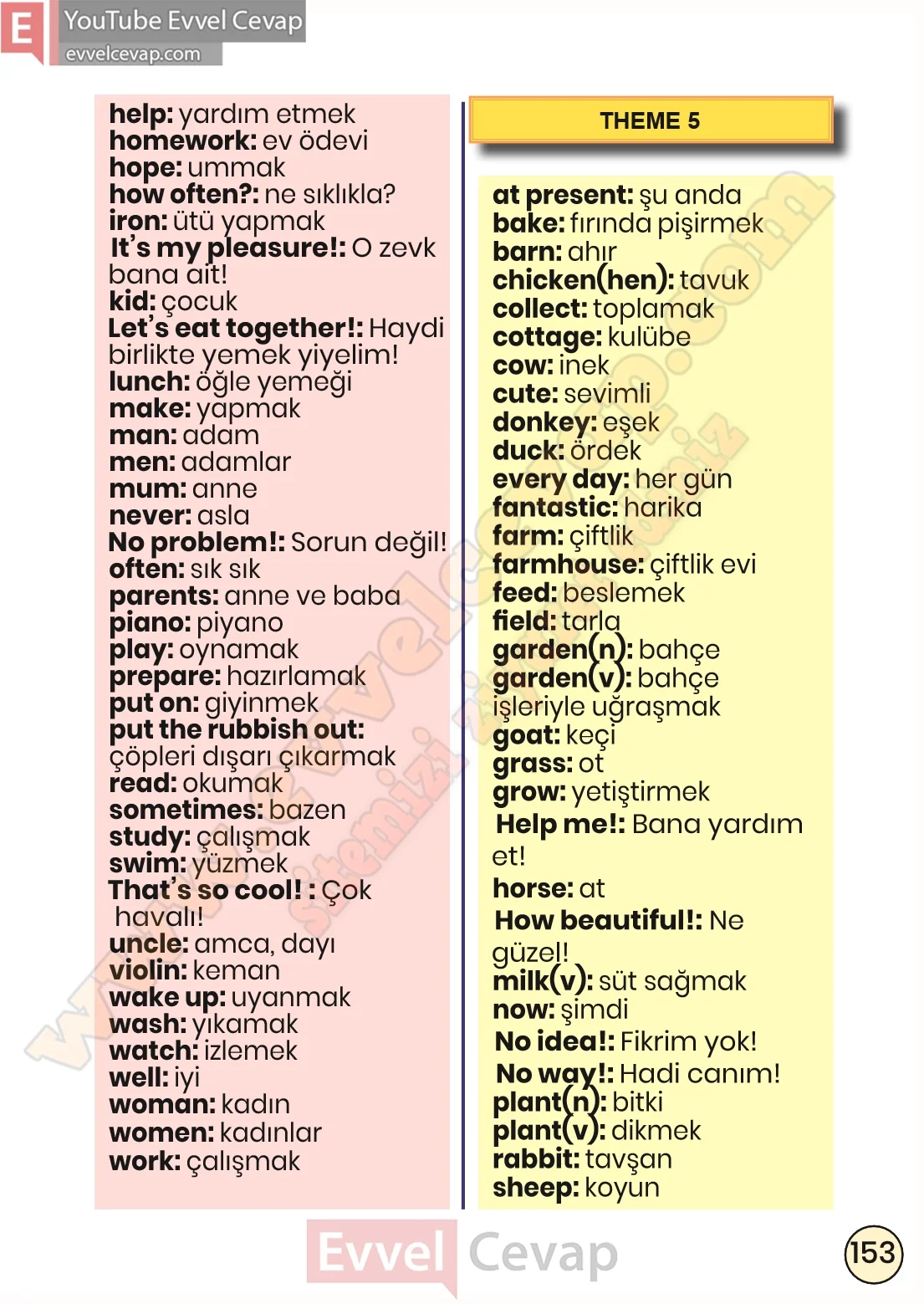 3-sinif-ingilizce-ders-kitabi-cevabi-sayfa-153