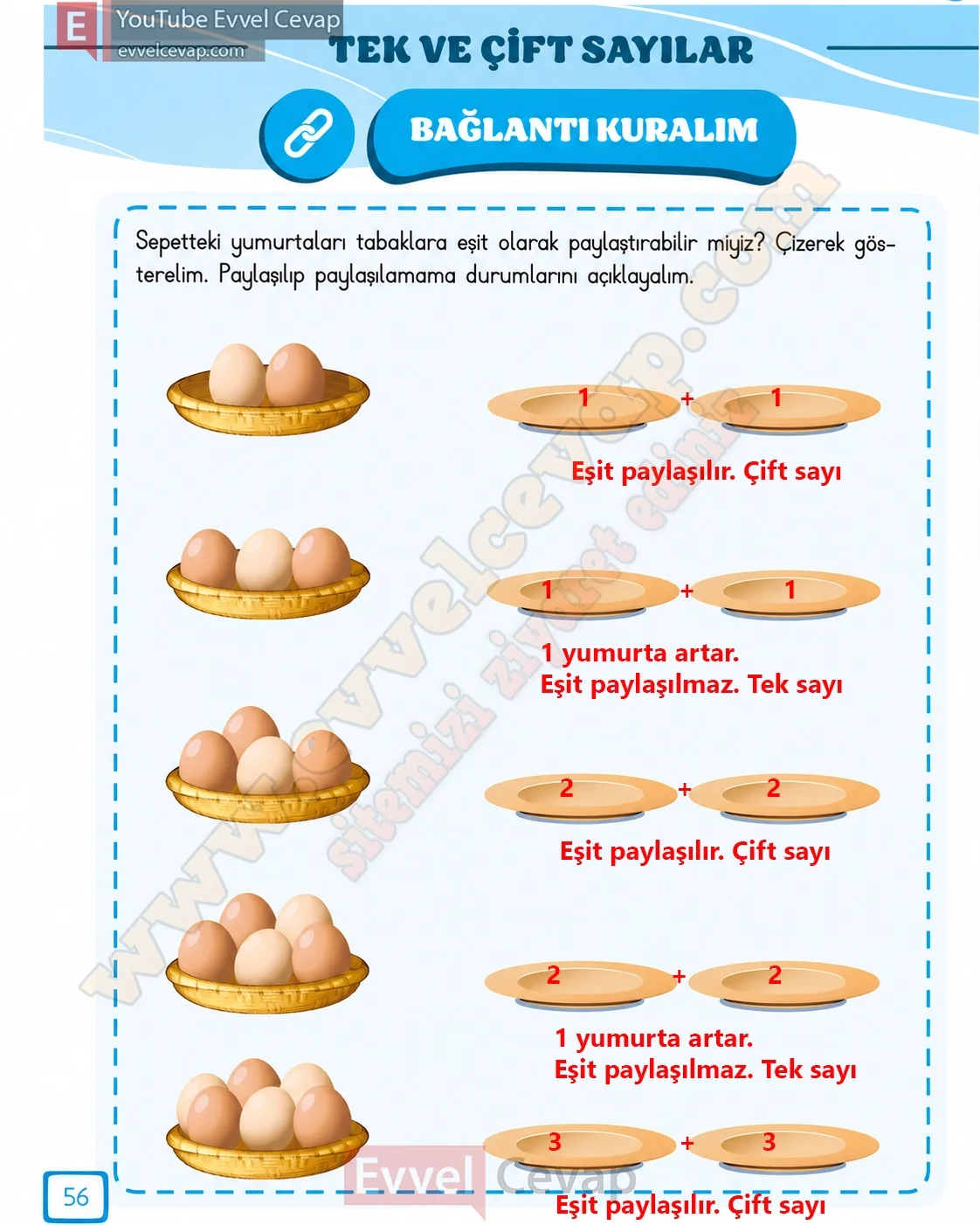 3-sinif-matematik-ders-kitabi-cevabi-meb-yayinlari-1-kitap-sayfa-56