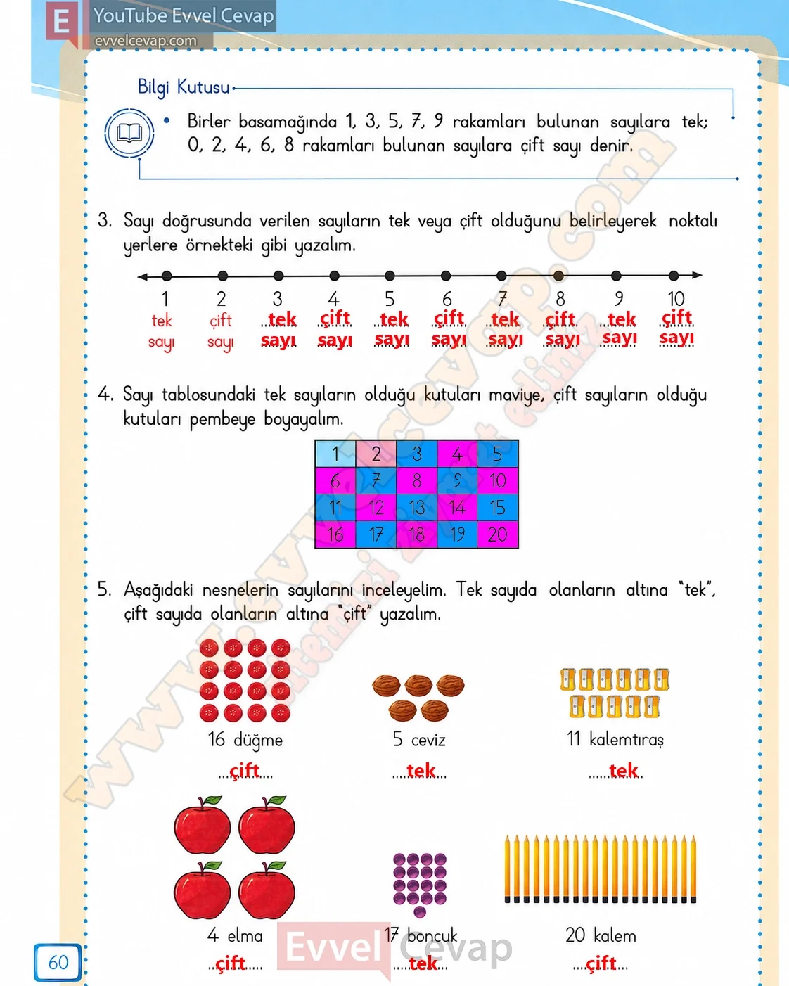 3-sinif-matematik-ders-kitabi-cevabi-meb-yayinlari-1-kitap-sayfa-60