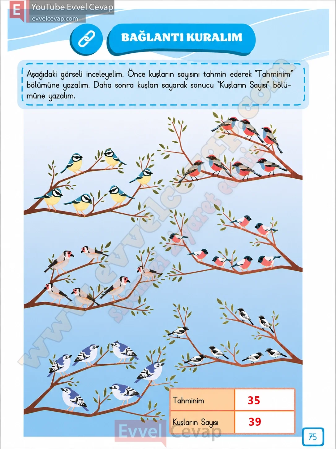 3-sinif-matematik-ders-kitabi-cevabi-meb-yayinlari-1-kitap-sayfa-75