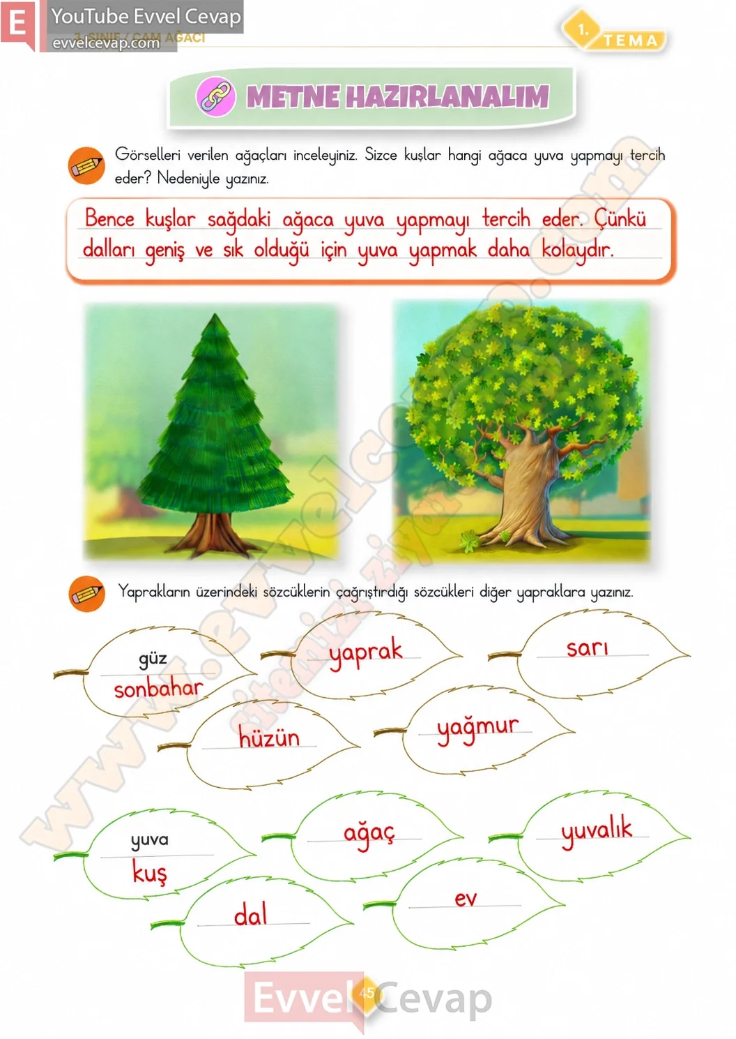 3-sinif-turkce-ders-kitabi-cevabi-meb-yayinlari-1-kitap-sayfa-45