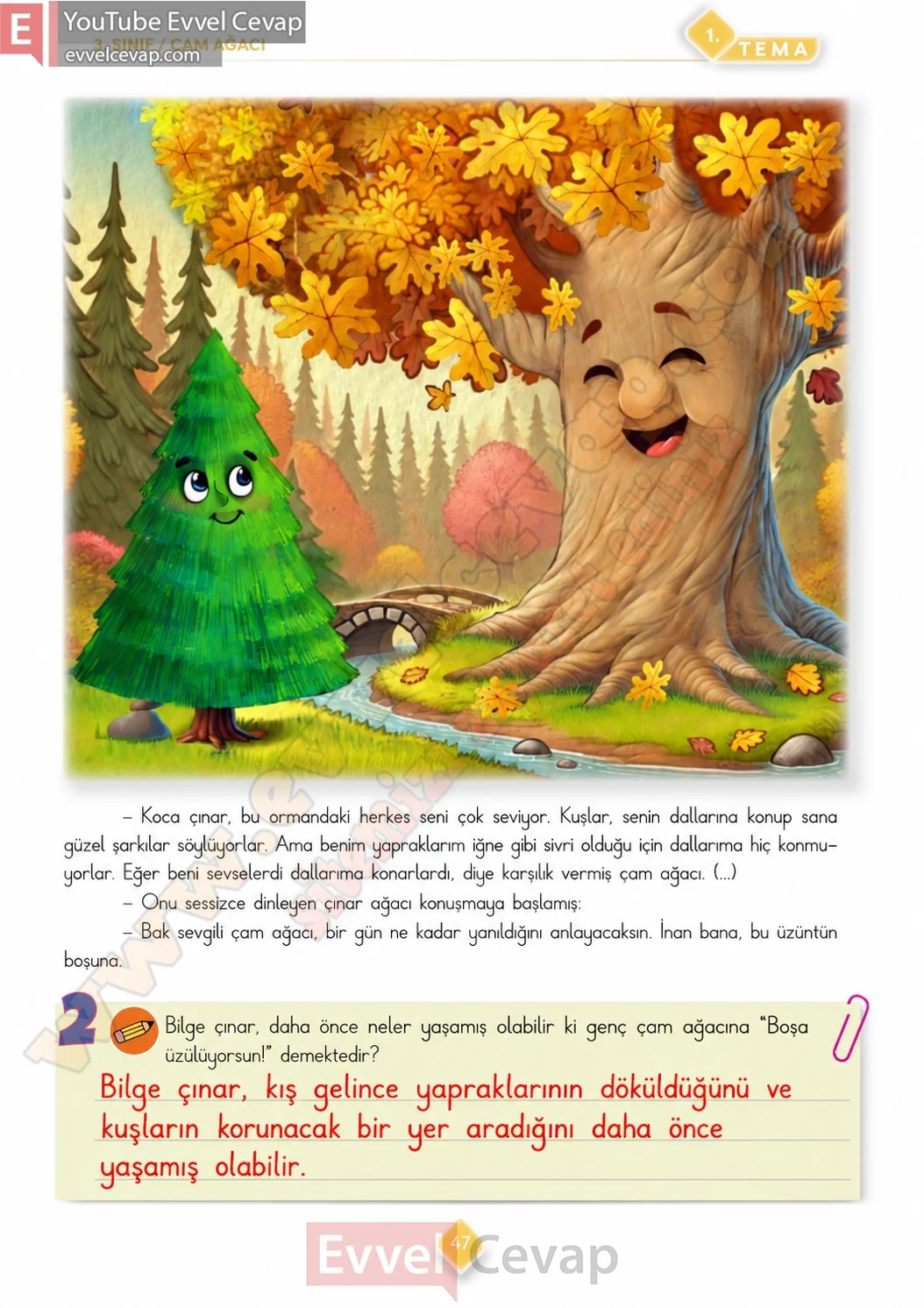 3-sinif-turkce-ders-kitabi-cevabi-meb-yayinlari-1-kitap-sayfa-47