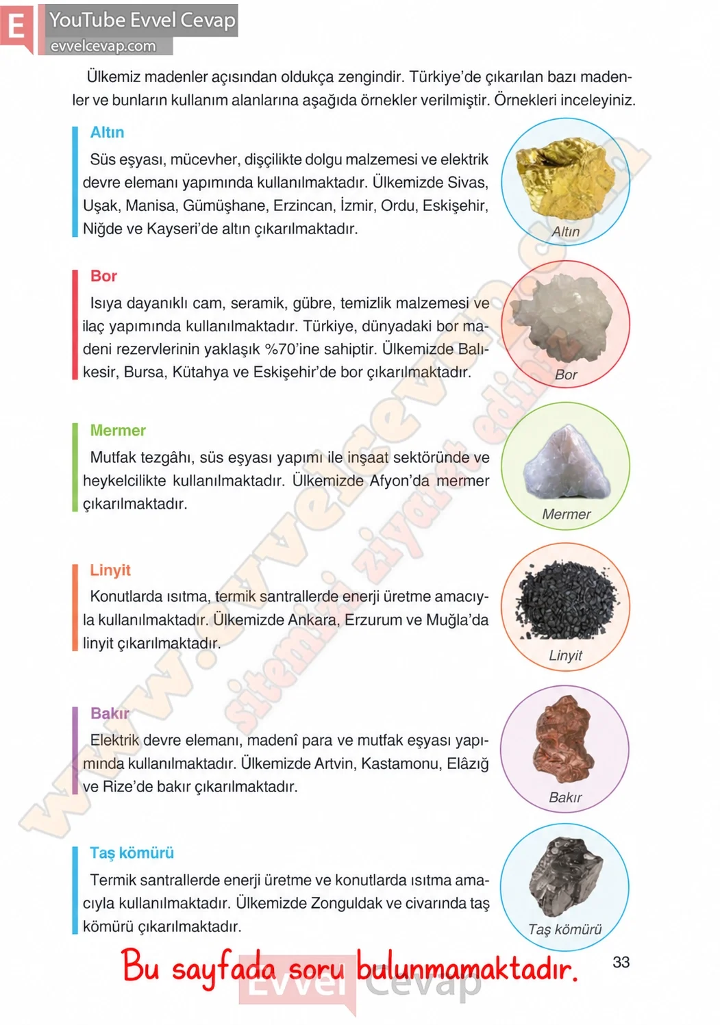 4-sinif-fen-bilimleri-ders-kitabi-cevaplari-adim-adim-yayincilik-sayfa-33-2026