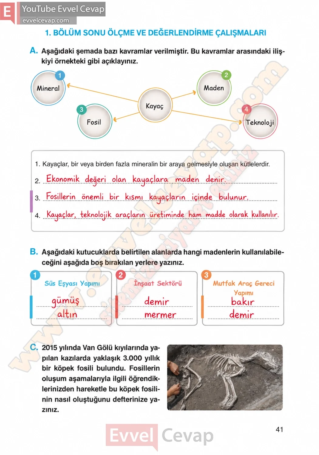 4-sinif-fen-bilimleri-ders-kitabi-cevaplari-adim-adim-yayincilik-sayfa-41-2026