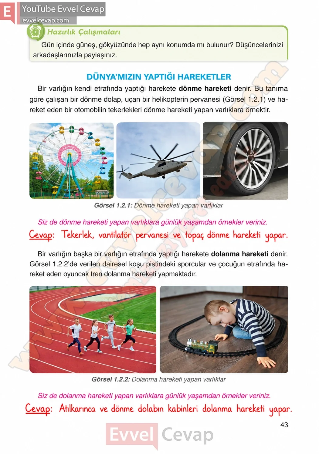 4-sinif-fen-bilimleri-ders-kitabi-cevaplari-adim-adim-yayincilik-sayfa-43-2026