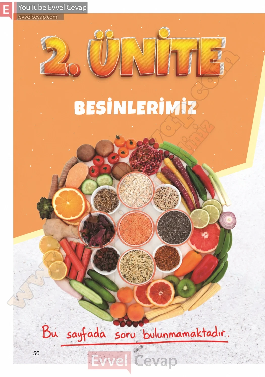 4-sinif-fen-bilimleri-ders-kitabi-cevaplari-adim-adim-yayincilik-sayfa-56-2026