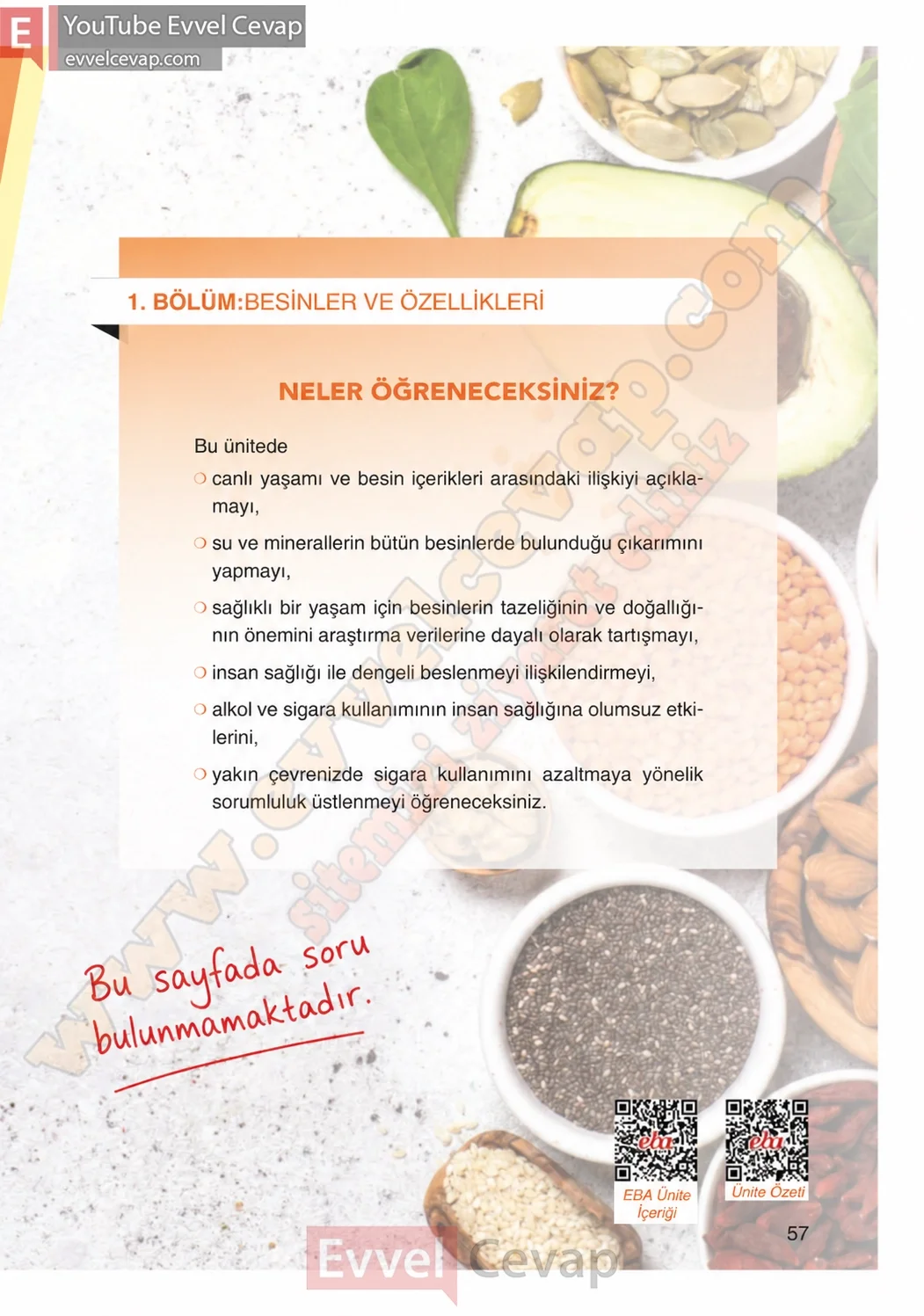 4-sinif-fen-bilimleri-ders-kitabi-cevaplari-adim-adim-yayincilik-sayfa-57-2026