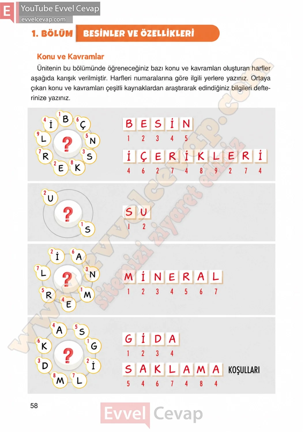 4-sinif-fen-bilimleri-ders-kitabi-cevaplari-adim-adim-yayincilik-sayfa-58-2026