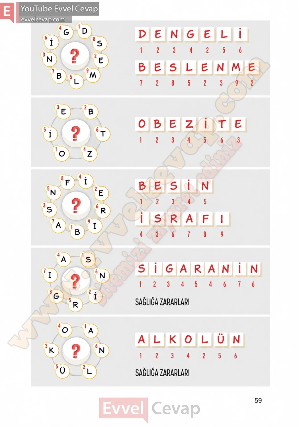 4-sinif-fen-bilimleri-ders-kitabi-cevaplari-adim-adim-yayincilik-sayfa-59-2026