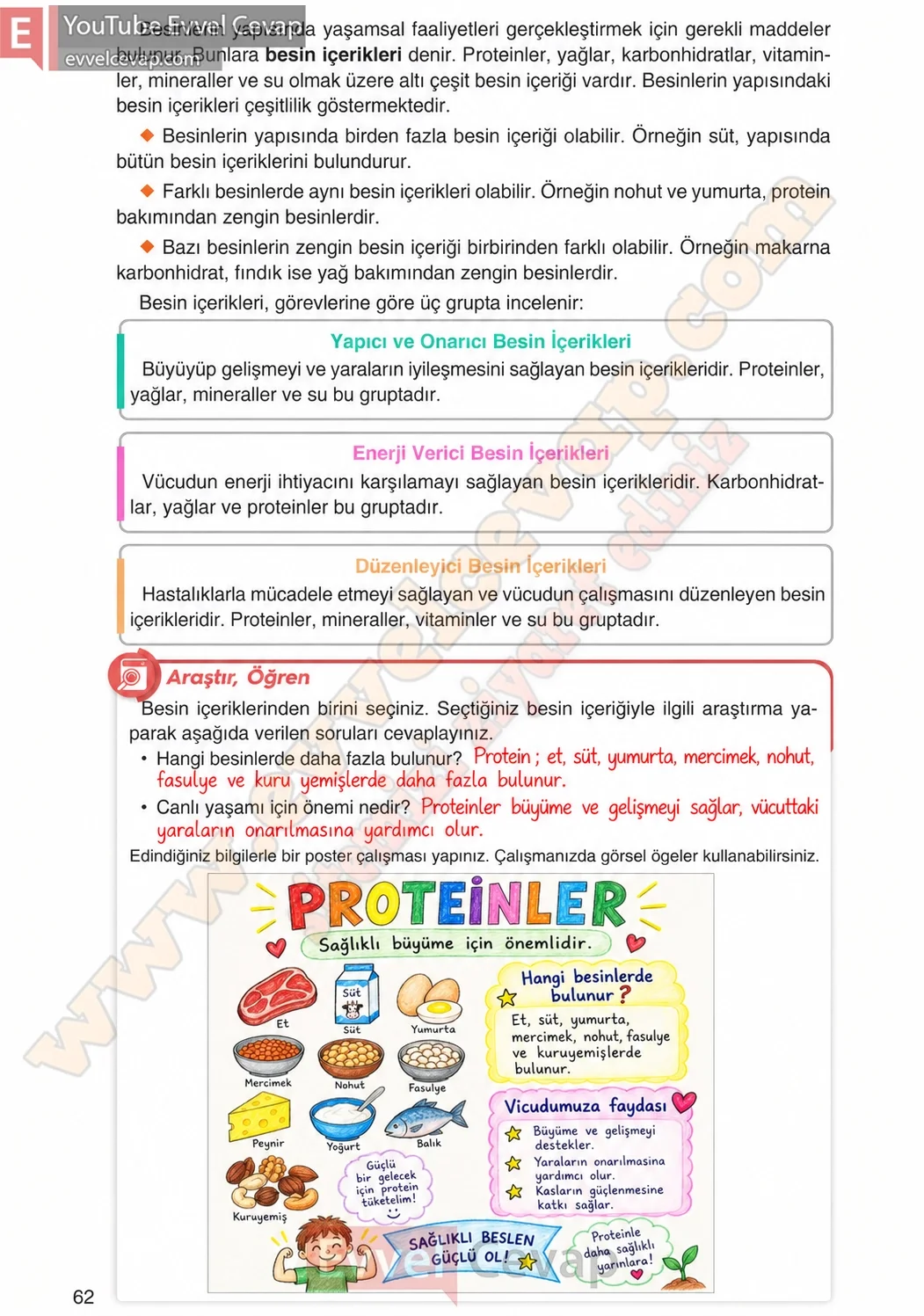 4-sinif-fen-bilimleri-ders-kitabi-cevaplari-adim-adim-yayincilik-sayfa-62-2026